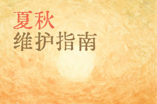 秋热也伤电池？接收这篇防“干”指南保住电池寿命！