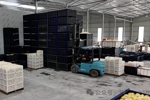 金九银十丰收忙！宝骊叉车正在铺就好“钱”景！