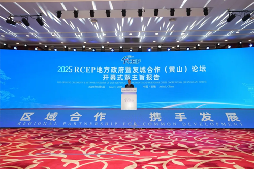 共探合力RCEP 2025——解码合力与世界双向奔赴的共赢密码